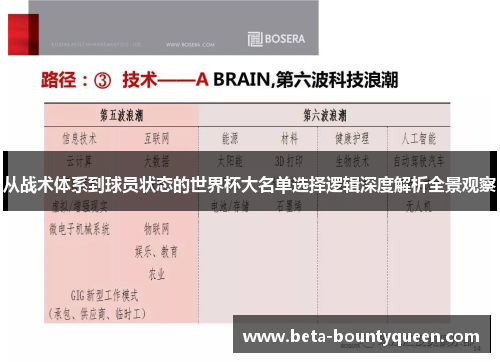 从战术体系到球员状态的世界杯大名单选择逻辑深度解析全景观察