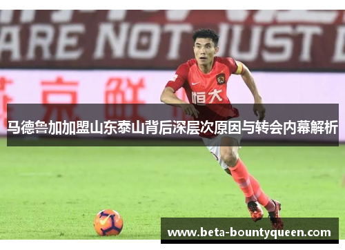 马德鲁加加盟山东泰山背后深层次原因与转会内幕解析