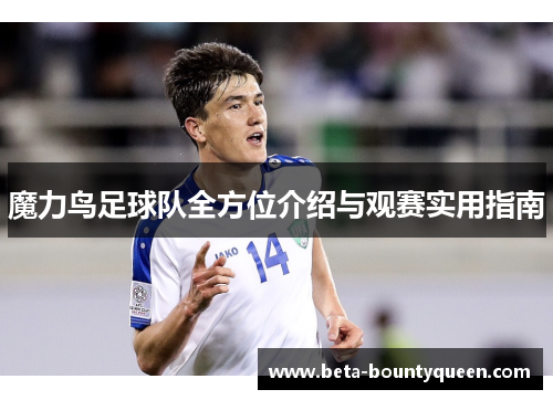 魔力鸟足球队全方位介绍与观赛实用指南