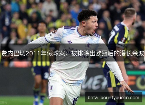 费内巴切2011年假球案：被排除出欧冠后的漫长余波